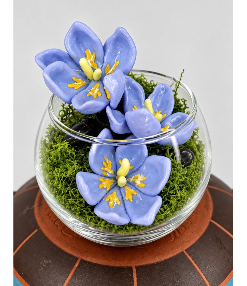 Autumn Crocus