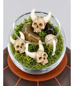 Skulls of the Fae