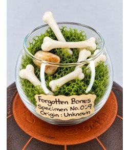 Bones of the Forgotten