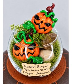 Twisted pumpkins Curio Jar